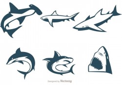 Collection Of Shark Vectors