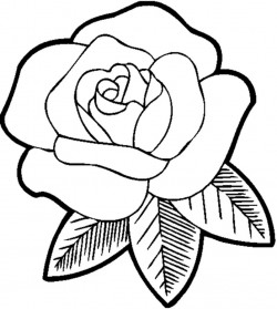 Coloring Pictures Of Flower Pots