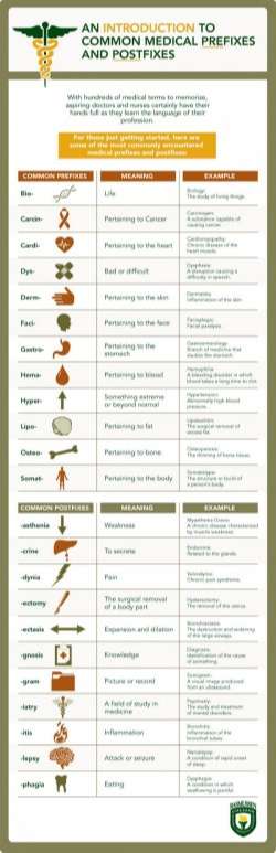 Common Medical Prefixes and Postfixes [Infographic]