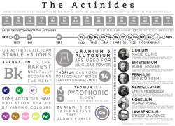 Element Infographics – The Actinides