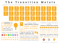 Element Infographics – Transition Metals