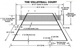 Volleyball Court Field