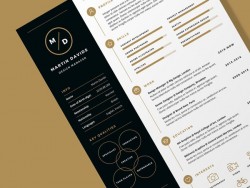 CV Resume