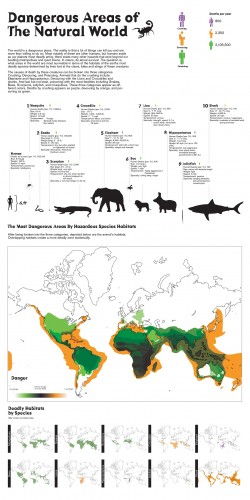 Dangerous Areas of The Natural World