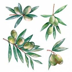 Decorative olive branches designs