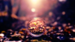 Balloon Flight Plant Wallpaper