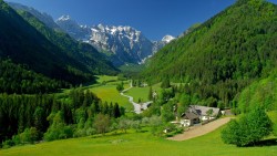 Alpine valley Wallpaper
