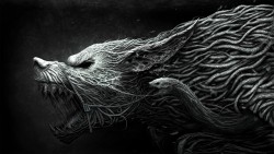 Wolf Drawing Wallpaper