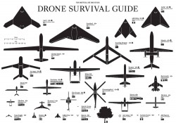 Explore the Various Types of Drones