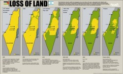 Facts All US Citizens Need to Know About Israel and Palestine – WTF RLY REPORT