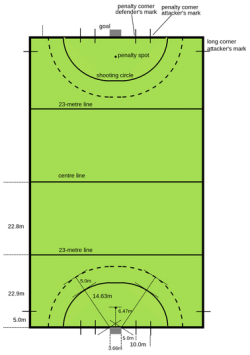 Field Hockey and Ice Hockey Dimensions and Layout – SportsCourtDimensions.com