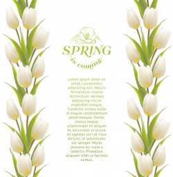 Floral background design