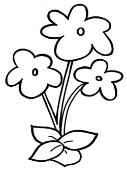 Flower Mandala Coloring Pages