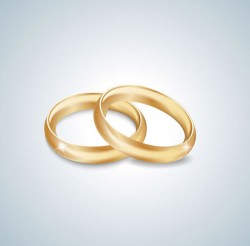Golden gloss on the ring vector pictures
