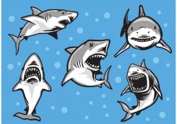 Great White Shark Vectors