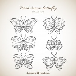Hand drawn butterfly collection