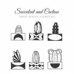 Hand drawn cactus with pot set