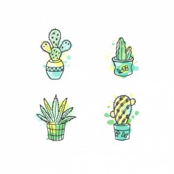 Hand drawn cactus with watercolor collection