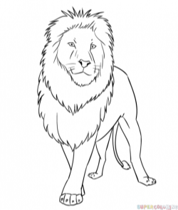 How to draw a cartoon lion | Step by step Drawing tutorials