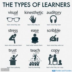 Infographic: The types of learners