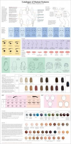 Guide to Human Types – Catalogue of Human Features