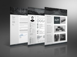 Mono Resume