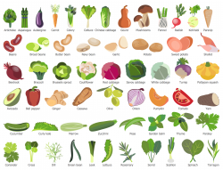 New Health Food Solution for ConceptDraw PRO