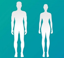 People silhouette stickers vector