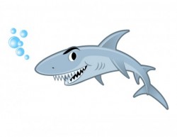 Shark Vector