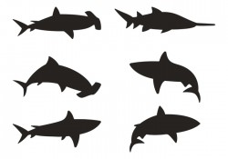Shark Silhouette Vectors
