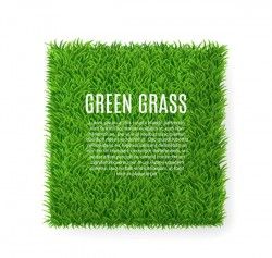 Square green lawn vector