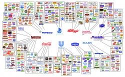 The Illusion of Choice in Consumer Brands