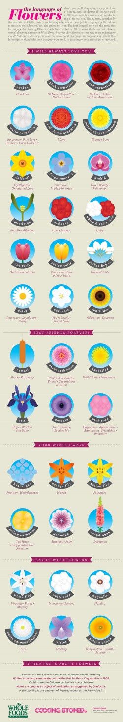 The language of flowers