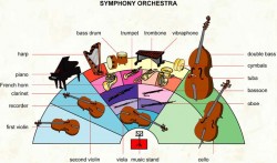 Visual Orchestra