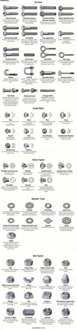 Types of Screws and Bolts [Guide] [Infographic] | Daily Infographic