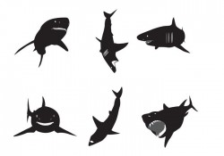 Vector Great White Shark Silhouettes