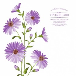 Vintage card flowers design
