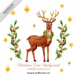 Watercolor background with pretty deer and mistletoe