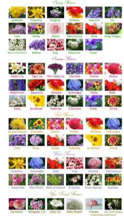 Wedding Flowers By Season
