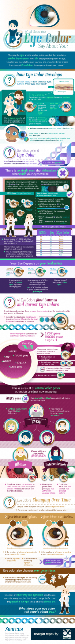 What Does Your Eye Color Say About You? [Infographic]