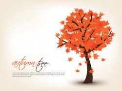 Autumn Tree Vector
