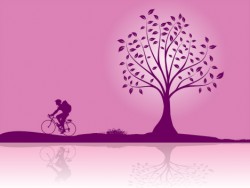 Biking on sunset Vector
