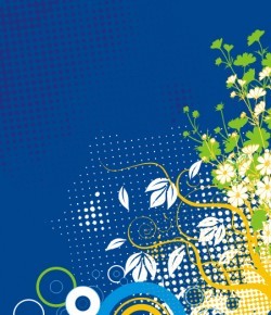 Decoration Vector