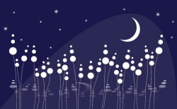 Dreamy Night Vector
