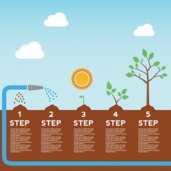Ecology infographic template design
