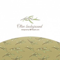 Elegant white background with olive leaves