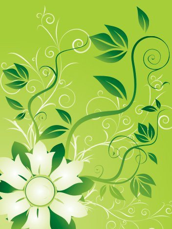 Flowers and swirls Vector