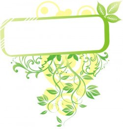 Fresh frame Vector