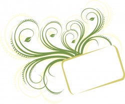 Fresh start Vector