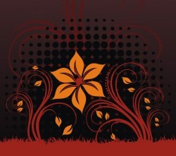 Night view Vector